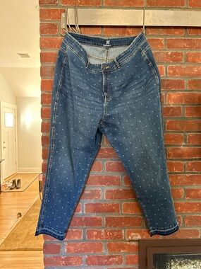 Rafaella Blue Polka Dot Cropped Jeans